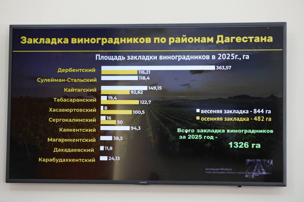 За три года Махачкала получила 176 новых автобусов